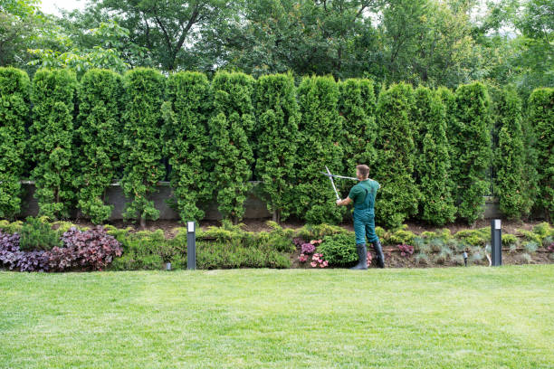 Best Mulching Services  in Carlton, OR