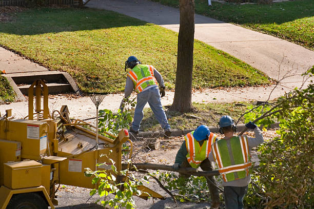 Mulching Services in Carlton, OR